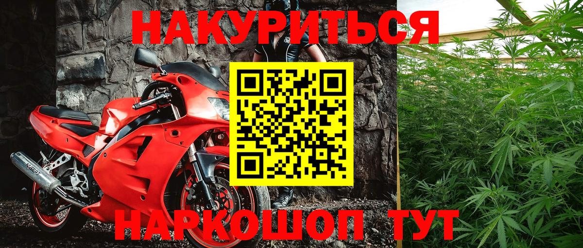 Каннабис индика Дзержинск